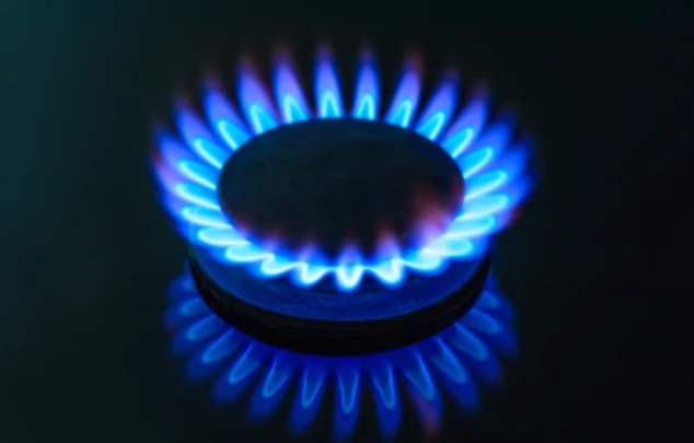 Gas Stove