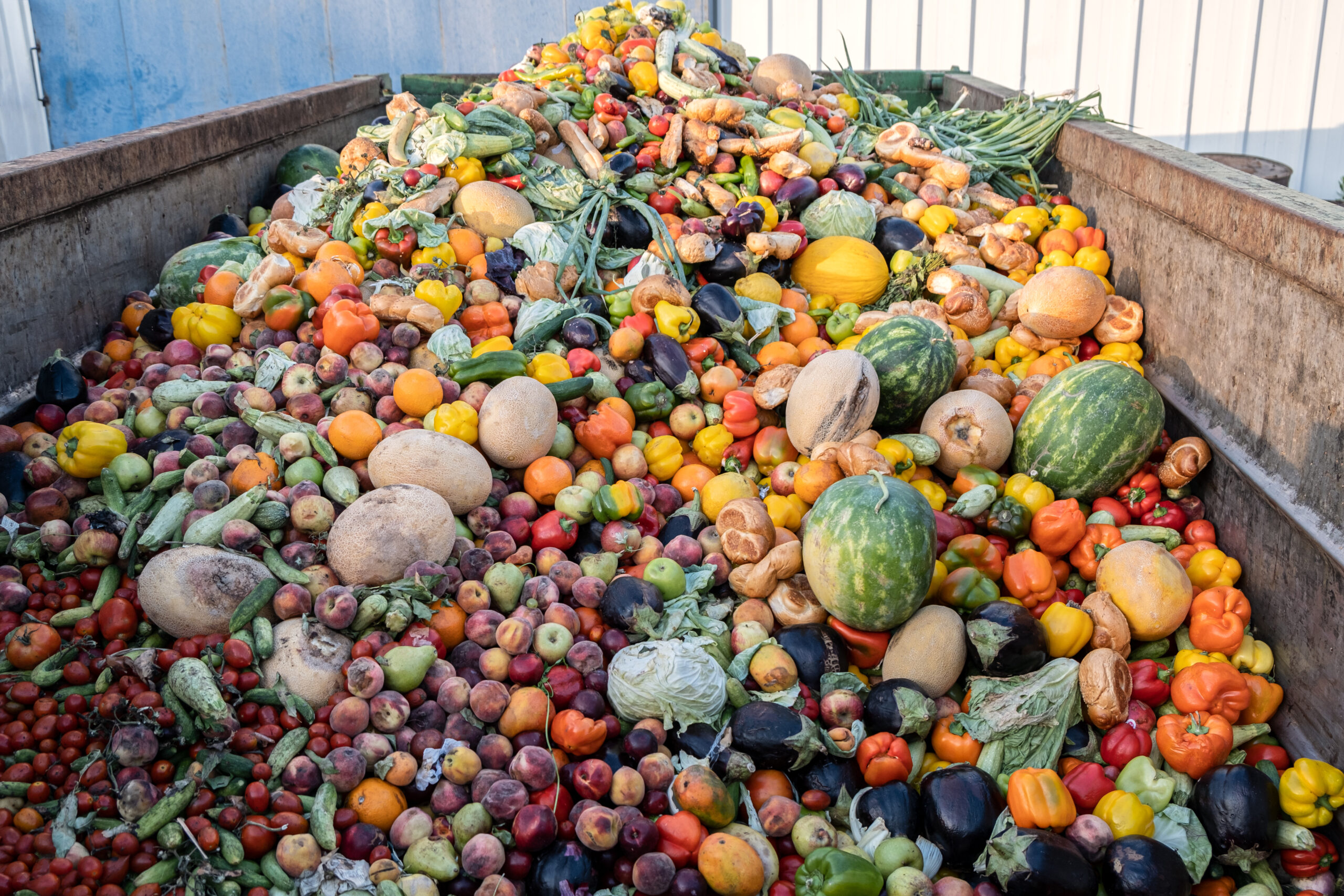 Expired Organic Bio Waste. Mix Vegetables And Fruits In A Huge C