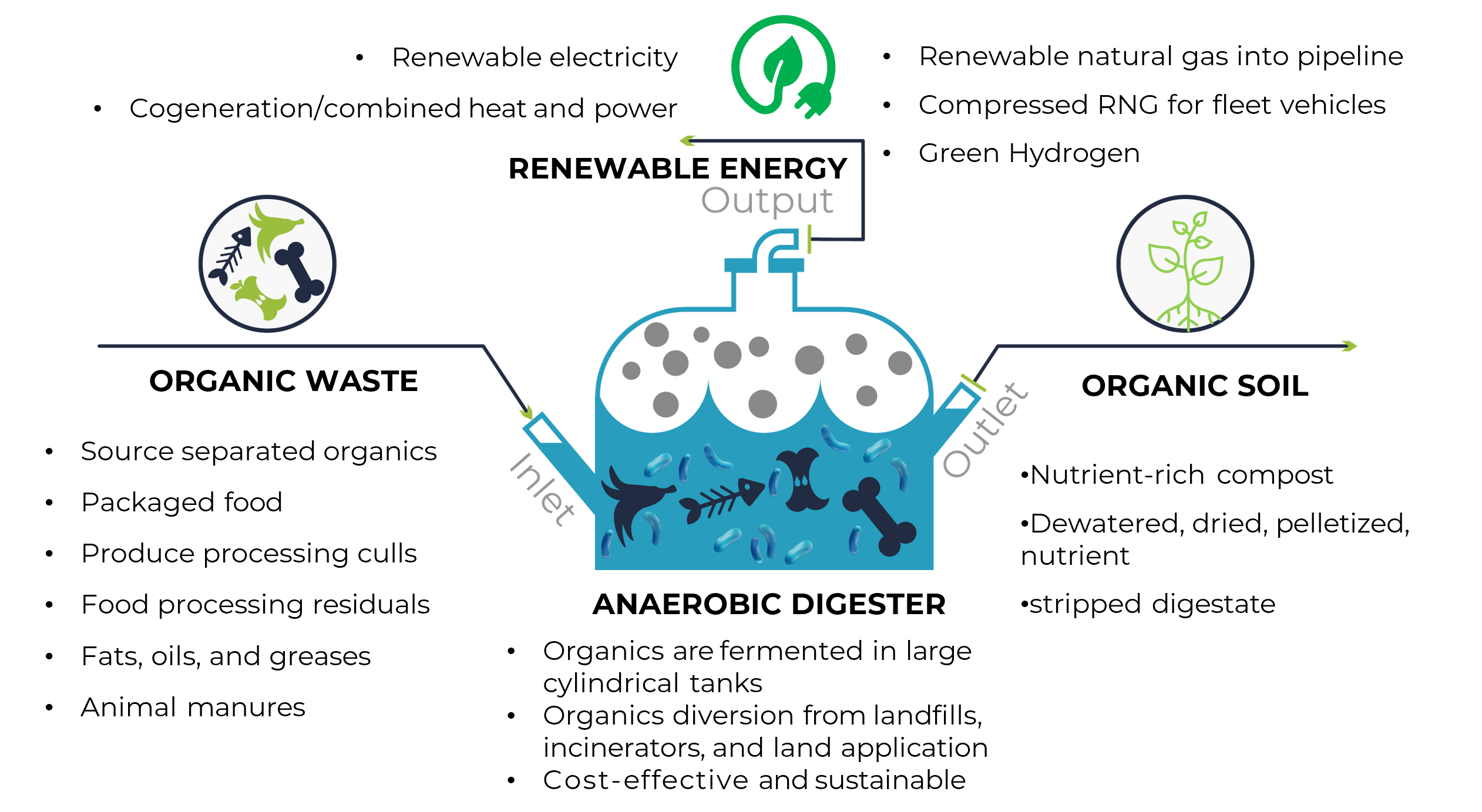 Diagram of the Anaerobic Digestion process from food waste to renewable natural gas, electricity, heat and a soil additive