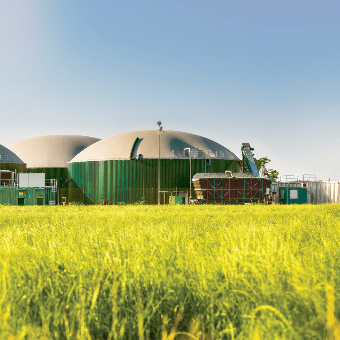 What is biogas? Learn about production and usage