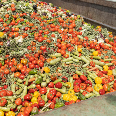 Organics such as peppers, tomatoes and other veggies being recycled at an anaerobic digestion facility